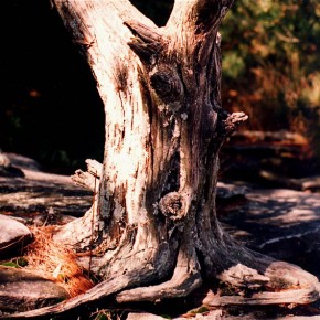 Iranians can’t prolong staying permits.