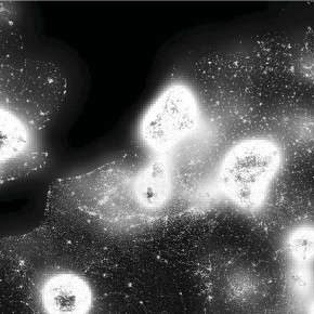 Andreas Faludi on Territory and Territoriality.