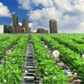 Randstad Seminar: Urban farming in city regions: a relevant topic for spatial planning and design?