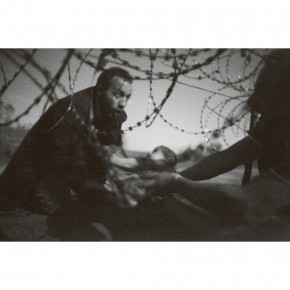 Understanding and Tackling the Migration Challenge: The Role of Research.