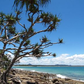 Remon Rooij going to the Sunshine coast for CDIO conference