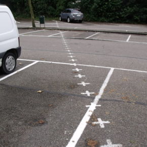 Triumphant Territorialism?