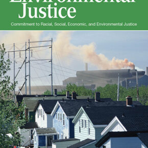 Environmental Migration, new article by Sharma, Bracken and Balz.